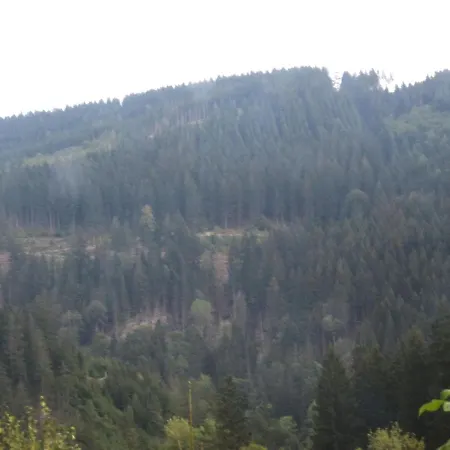 Charmantes Refugium, Harz Lägenhet Wildemann