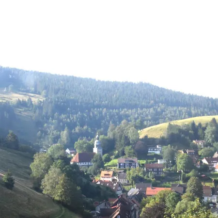 Lägenhet Charmantes Refugium, Harz Wildemann