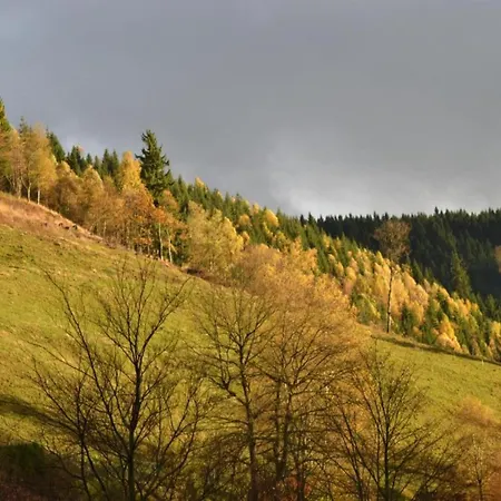 Charmantes Refugium, Harz * 빌데만