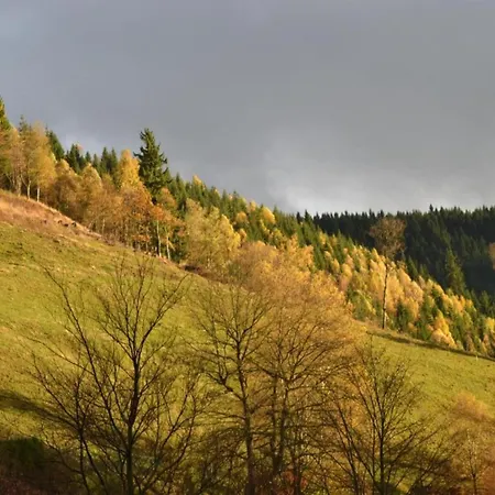 Romantic In The Heart Of Harz * Wildemann