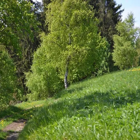Romantic In The Heart Of Harz *