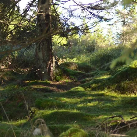 Charmantes Refugium, Harz