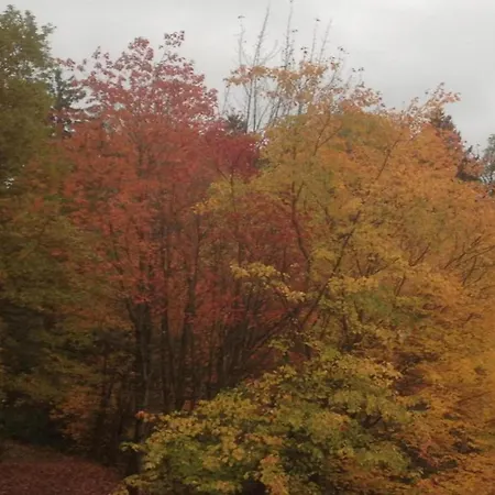 Romantic In The Heart Of Harz * Wildemann