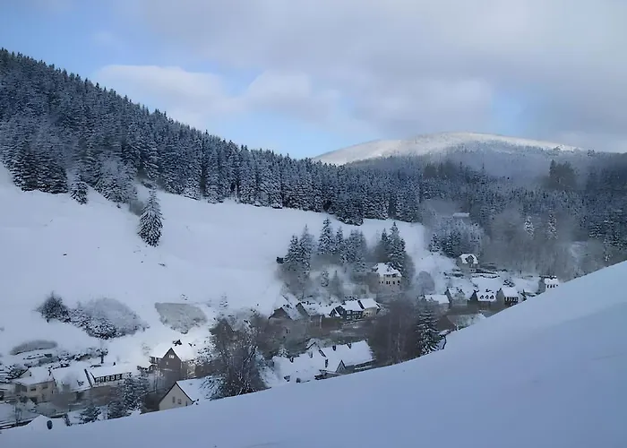 Charmantes Refugium, Harz Διαμέρισμα