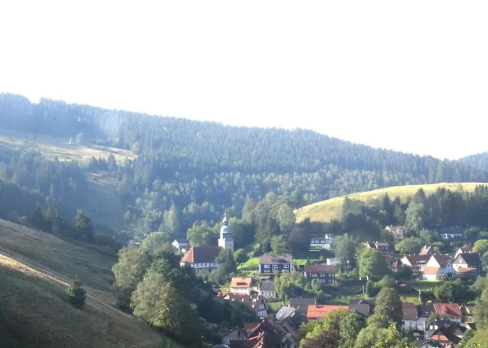 Διαμέρισμα Charmantes Refugium, Harz Wildemann