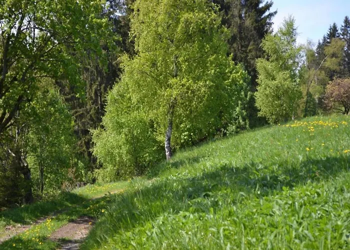 Charmantes Refugium, Harz *