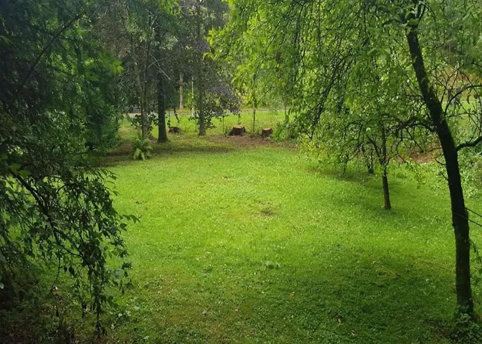 Charmantes Refugium, Harz Διαμέρισμα