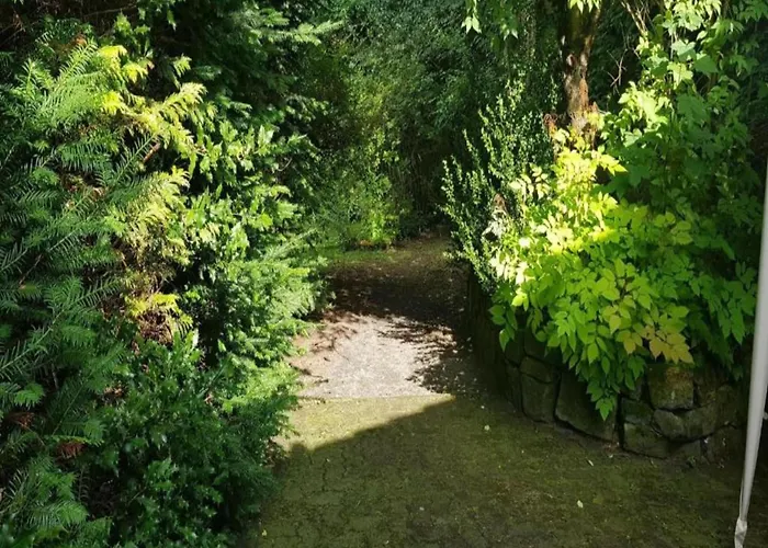 Διαμέρισμα Charmantes Refugium, Harz
